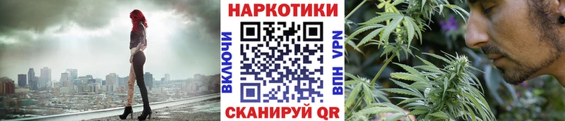 МЕФ Новая Ладога