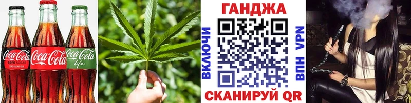 это наркотические препараты  Новая Ладога  Cannafood конопля  как найти  