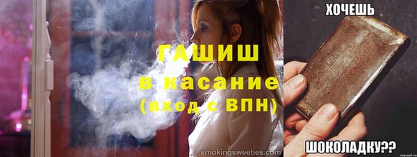 таблы Гусев