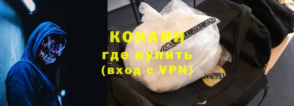 таблы Гусев