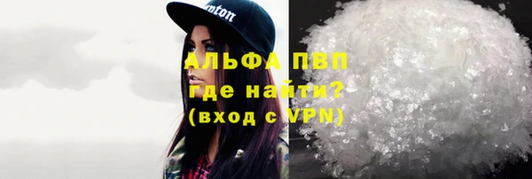 таблы Гусев