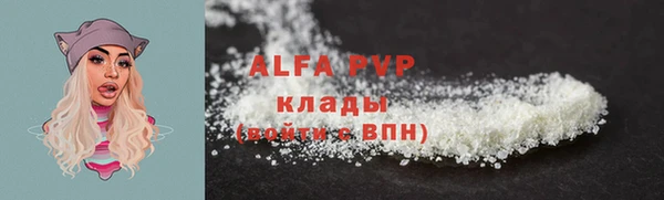 таблы Гусев