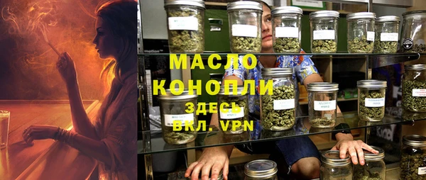 таблы Гусев