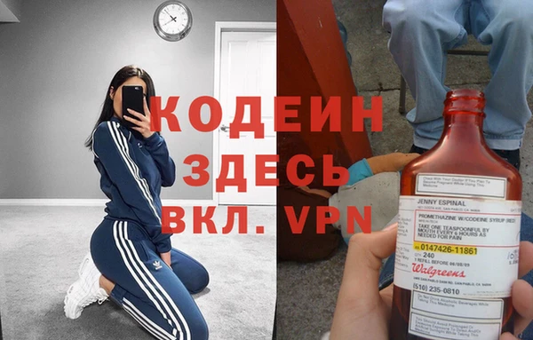 таблы Гусев
