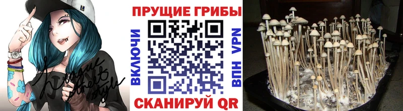 MEGA рабочий сайт  Новая Ладога  Псилоцибиновые грибы ЛСД  купить наркоту 