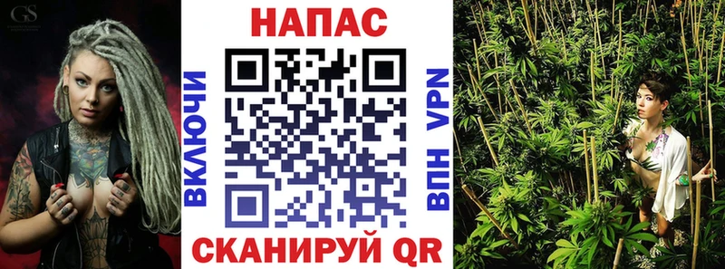 Конопля ГИДРОПОН где можно купить Новая Ладога